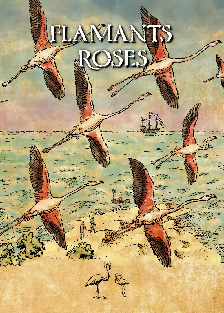 Carte indice - FlamantsRoses